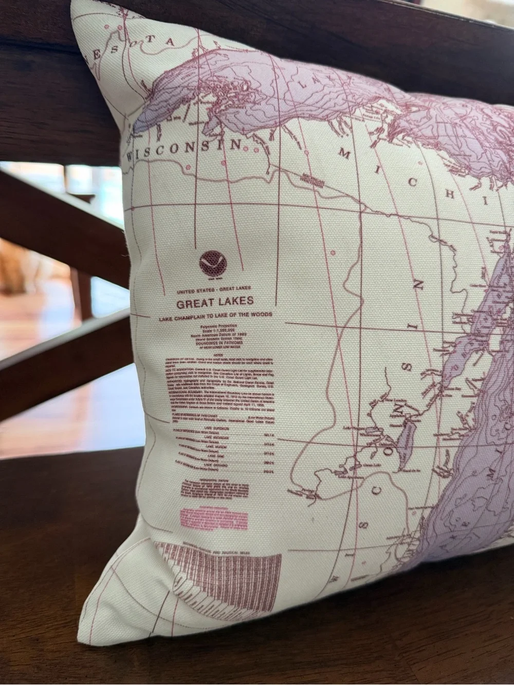 Map Print Decorative Pillow - Pink and Cream